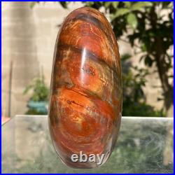743g Natural Fossil Petrified Wood Polished Freeform Crystal Mineral Healing 743g Natural Fossil Petrified Wood Polished Freeform Crystal Mineral Healing