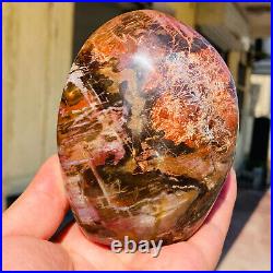 770g Natural Red Petrified Wood Crystal Fossil Landscape Specimen Reiki Healing 770g Natural Red Petrified Wood Crystal Fossil Landscape Specimen Reiki Healing