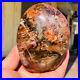 770g_Natural_Red_Petrified_Wood_Crystal_Fossil_Landscape_Specimen_Reiki_Healing_01_nkj