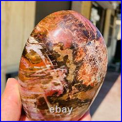 770g Natural Red Petrified Wood Crystal Fossil Landscape Specimen Reiki Healing 770g Natural Red Petrified Wood Crystal Fossil Landscape Specimen Reiki Healing