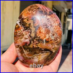 770g Natural Red Petrified Wood Crystal Fossil Landscape Specimen Reiki Healing 770g Natural Red Petrified Wood Crystal Fossil Landscape Specimen Reiki Healing