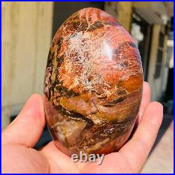 770g Natural Red Petrified Wood Crystal Fossil Landscape Specimen Reiki Healing 770g Natural Red Petrified Wood Crystal Fossil Landscape Specimen Reiki Healing