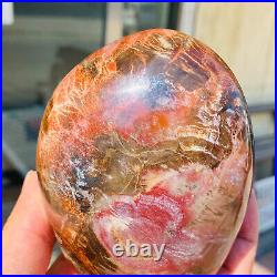 770g Natural Red Petrified Wood Crystal Fossil Landscape Specimen Reiki Healing 770g Natural Red Petrified Wood Crystal Fossil Landscape Specimen Reiki Healing