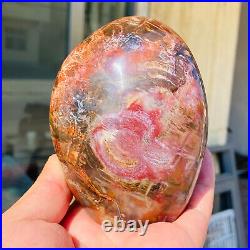 770g Natural Red Petrified Wood Crystal Fossil Landscape Specimen Reiki Healing 770g Natural Red Petrified Wood Crystal Fossil Landscape Specimen Reiki Healing