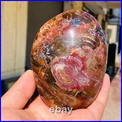 770g Natural Red Petrified Wood Crystal Fossil Landscape Specimen Reiki Healing 770g Natural Red Petrified Wood Crystal Fossil Landscape Specimen Reiki Healing