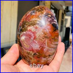 770g Natural Red Petrified Wood Crystal Fossil Landscape Specimen Reiki Healing 770g Natural Red Petrified Wood Crystal Fossil Landscape Specimen Reiki Healing
