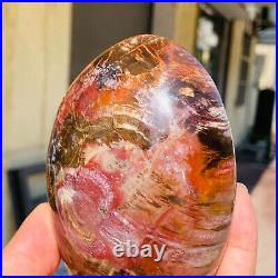 770g Natural Red Petrified Wood Crystal Fossil Landscape Specimen Reiki Healing 770g Natural Red Petrified Wood Crystal Fossil Landscape Specimen Reiki Healing