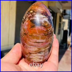 770g Natural Red Petrified Wood Crystal Fossil Landscape Specimen Reiki Healing 770g Natural Red Petrified Wood Crystal Fossil Landscape Specimen Reiki Healing