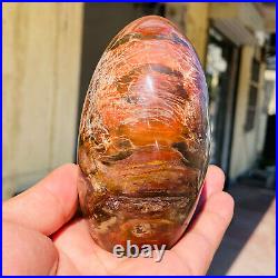770g Natural Red Petrified Wood Crystal Fossil Landscape Specimen Reiki Healing 770g Natural Red Petrified Wood Crystal Fossil Landscape Specimen Reiki Healing