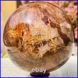 783g Large Natural Petrified Wood Crystal Fossil Sphere Specimen Healing