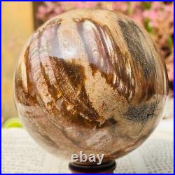 783g Large Natural Petrified Wood Crystal Fossil Sphere Specimen Healing
