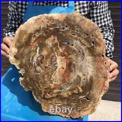 7900G Natural Petrified Wood Fossil Crystal Polished Slice Madagascar 34
