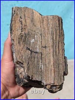 7Lb 14Oz Petrified Wood Stone Log Natural Rainbow Gray Bark Silvery Blue Arizona