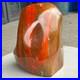 7_05LB_Natural_Fossil_Petrified_Wood_Polished_Freeform_Crystal_Mineral_Healing_01_wi