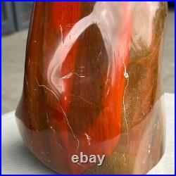 7.05LB Natural Fossil Petrified Wood Polished Freeform Crystal Mineral Healing 7.05LB Natural Fossil Petrified Wood Polished Freeform Crystal Mineral Healing