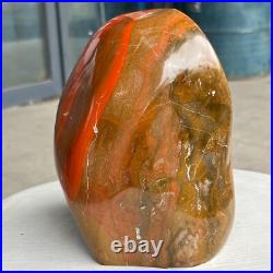7.05LB Natural Fossil Petrified Wood Polished Freeform Crystal Mineral Healing 7.05LB Natural Fossil Petrified Wood Polished Freeform Crystal Mineral Healing