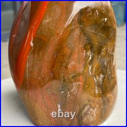 7.05LB Natural Fossil Petrified Wood Polished Freeform Crystal Mineral Healing 7.05LB Natural Fossil Petrified Wood Polished Freeform Crystal Mineral Healing