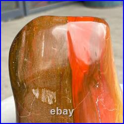 7.05LB Natural Fossil Petrified Wood Polished Freeform Crystal Mineral Healing 7.05LB Natural Fossil Petrified Wood Polished Freeform Crystal Mineral Healing