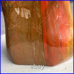 7.05LB Natural Fossil Petrified Wood Polished Freeform Crystal Mineral Healing 7.05LB Natural Fossil Petrified Wood Polished Freeform Crystal Mineral Healing