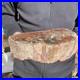 7_1LB_Natural_petrified_wood_rough_Wood_fossil_mineral_specimen_healing_energy_01_ioso