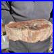 7_1LB_Natural_petrified_wood_rough_Wood_fossil_mineral_specimen_healing_energy_01_ntsm