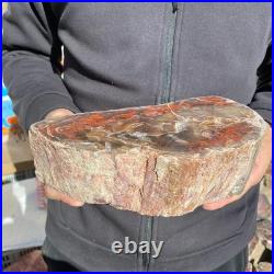 7.1LB Natural petrified wood rough Wood fossil mineral specimen healing energy 7.1LB Natural petrified wood rough Wood fossil mineral specimen healing energy