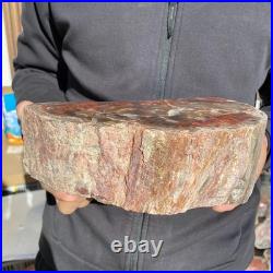 7.1LB Natural petrified wood rough Wood fossil mineral specimen healing energy 7.1LB Natural petrified wood rough Wood fossil mineral specimen healing energy