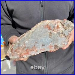 7.1LB Natural petrified wood rough Wood fossil mineral specimen healing energy 7.1LB Natural petrified wood rough Wood fossil mineral specimen healing energy