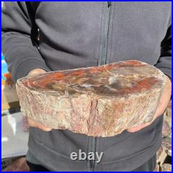 7.1LB Natural petrified wood rough Wood fossil mineral specimen healing energy 7.1LB Natural petrified wood rough Wood fossil mineral specimen healing energy