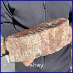 7.1LB Natural petrified wood rough Wood fossil mineral specimen healing energy 7.1LB Natural petrified wood rough Wood fossil mineral specimen healing energy