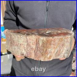 7.1LB Natural petrified wood rough Wood fossil mineral specimen healing energy 7.1LB Natural petrified wood rough Wood fossil mineral specimen healing energy