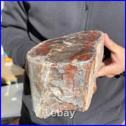 7.1LB Natural petrified wood rough Wood fossil mineral specimen healing energy 7.1LB Natural petrified wood rough Wood fossil mineral specimen healing energy
