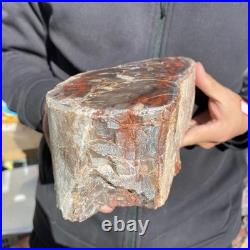 7.1LB Natural petrified wood rough Wood fossil mineral specimen healing energy 7.1LB Natural petrified wood rough Wood fossil mineral specimen healing energy