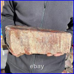 7.1LB Natural petrified wood rough Wood fossil mineral specimen healing energy 7.1LB Natural petrified wood rough Wood fossil mineral specimen healing energy