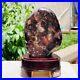 7_28lb_Natural_Petrified_Wood_Fossil_Crystal_Landscape_Columniform_Specimen_01_tuoz