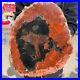 7_2lb_Rare_Natural_Red_Petrified_Wood_Fossil_Crystal_Rough_Slice_From_Madagascar_01_zyg