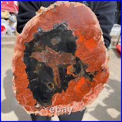7.2lb Rare Natural Red Petrified Wood Fossil Crystal Rough Slice From Madagascar