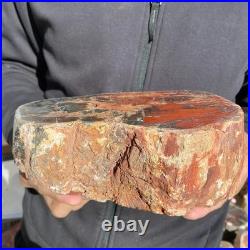 7.3LB Natural petrified wood rough Wood fossil mineral specimen healing energy 7.3LB Natural petrified wood rough Wood fossil mineral specimen healing energy