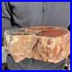 7_3LB_Natural_petrified_wood_rough_Wood_fossil_mineral_specimen_healing_energy_01_iq