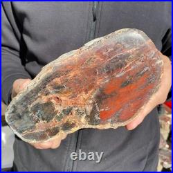 7.3LB Natural petrified wood rough Wood fossil mineral specimen healing energy 7.3LB Natural petrified wood rough Wood fossil mineral specimen healing energy