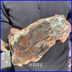 7.3LB Natural petrified wood rough Wood fossil mineral specimen healing energy 7.3LB Natural petrified wood rough Wood fossil mineral specimen healing energy