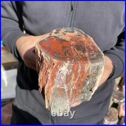 7.3LB Natural petrified wood rough Wood fossil mineral specimen healing energy 7.3LB Natural petrified wood rough Wood fossil mineral specimen healing energy
