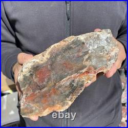 7.3LB Natural petrified wood rough Wood fossil mineral specimen healing energy 7.3LB Natural petrified wood rough Wood fossil mineral specimen healing energy