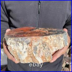 7.3LB Natural petrified wood rough Wood fossil mineral specimen healing energy 7.3LB Natural petrified wood rough Wood fossil mineral specimen healing energy