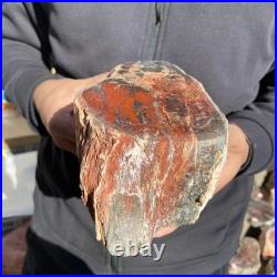7.3LB Natural petrified wood rough Wood fossil mineral specimen healing energy 7.3LB Natural petrified wood rough Wood fossil mineral specimen healing energy