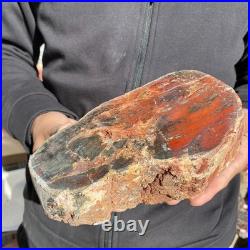 7.3LB Natural petrified wood rough Wood fossil mineral specimen healing energy 7.3LB Natural petrified wood rough Wood fossil mineral specimen healing energy