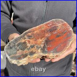 7.3LB Natural petrified wood rough Wood fossil mineral specimen healing energy