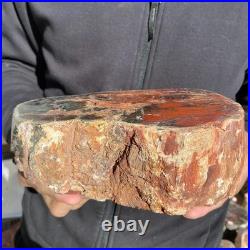 7.3LB Natural petrified wood rough Wood fossil mineral specimen healing energy 7.3LB Natural petrified wood rough Wood fossil mineral specimen healing energy