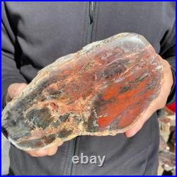 7.3LB Natural petrified wood rough Wood fossil mineral specimen healing energy 7.3LB Natural petrified wood rough Wood fossil mineral specimen healing energy