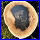 7_4LB_Natural_Petrified_Wood_Crystal_Fossil_Slice_Shape_Specimen_HealingLarge_01_dd
